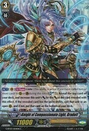 Knight of Compassionate Light, Bradott