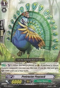 Protractor Peacock Card Front