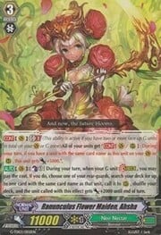 Ranunculus Flower Maiden, Ahsha