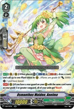 Osmanthus Maiden, Anelma Card Front