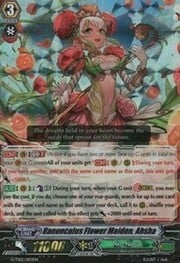 Ranunculus Flower Maiden, Ahsha