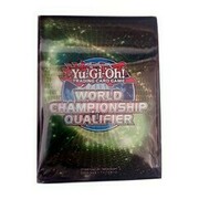 15 WCQ 2013 Sleeves
