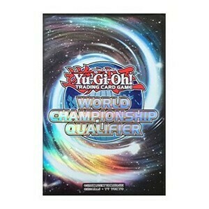 15 WCQ 2016 Sleeves