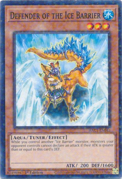 Defender of the Ice Barrier Card Front