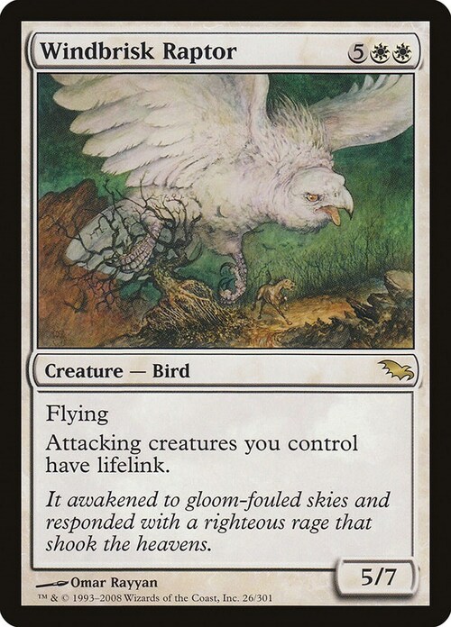 Windbrisk Raptor Card Front