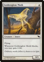 Goldenglow Moth