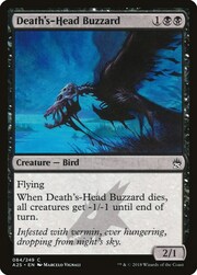 Death's-Head Buzzard