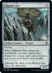 Pilgrim's Eye