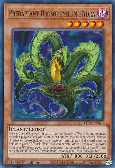 Predaplant Drosophyllum Hydra Card Front