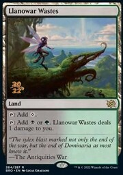 Llanowar Wastes