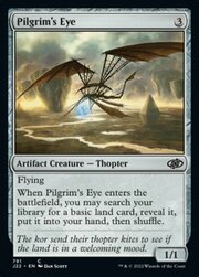 Pilgrim's Eye