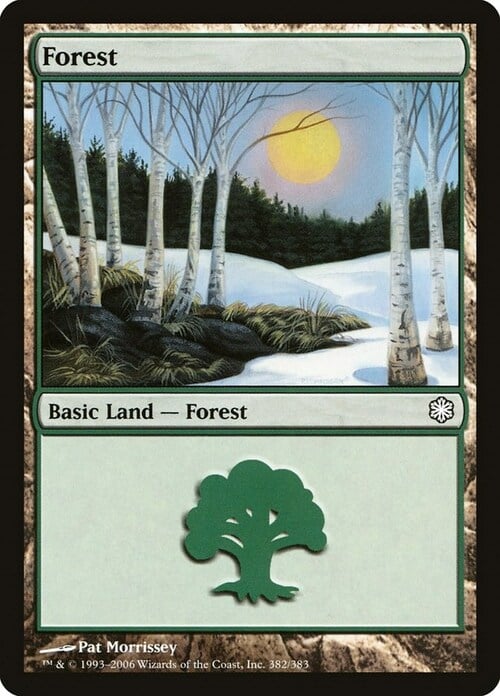 Forest Card Front