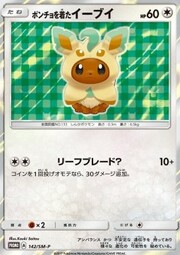 Poncho-wearing Eevee