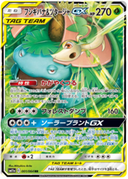 Venusaur & Snivy GX