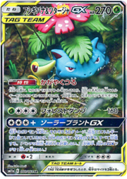 Venusaur & Snivy GX