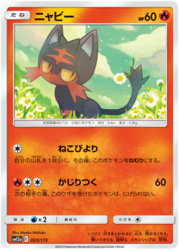 Litten