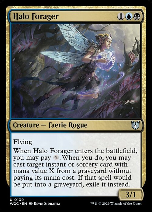 Halo Forager Card Front