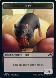 Rat