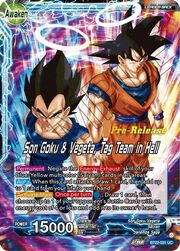 Son Goku // Son Goku & Vegeta, Tag Team in Hell