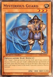 Mysterious Guard