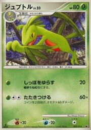 Grovyle Lv.23