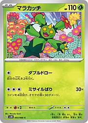 Maractus