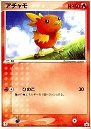 Torchic