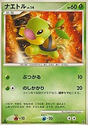 Turtwig Lv.14