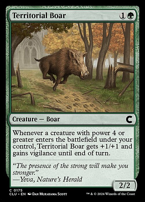 Territorial Boar Card Front