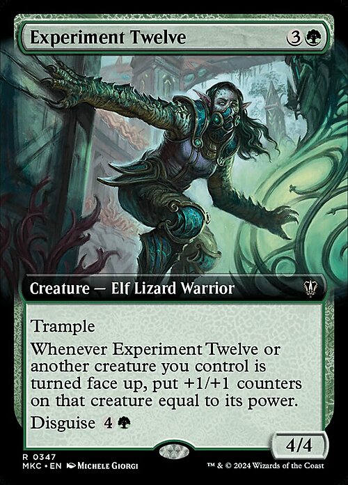 Experiment Twelve Card Front