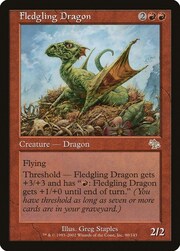 Fledgling Dragon