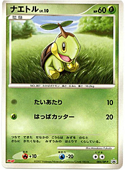 Turtwig Lv.10