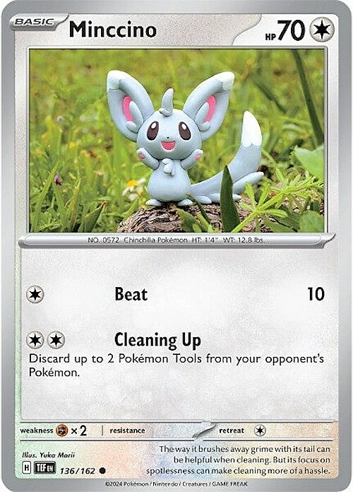 Minccino Card Front