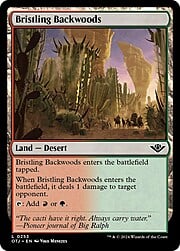 Bristling Backwoods