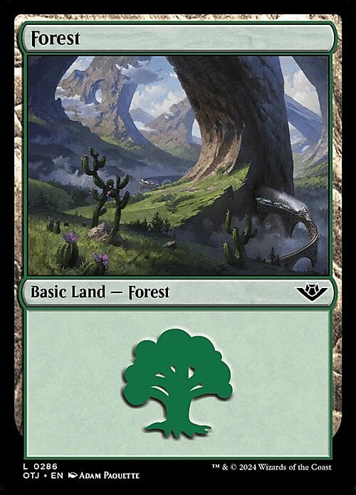 Forest Card Front