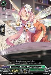 Knowledge-seeking Fairy, Strawbera