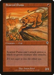 Scarred Puma