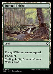 Tranquil Thicket