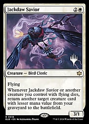 Jackdaw Savior