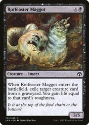 Rotfeaster Maggot