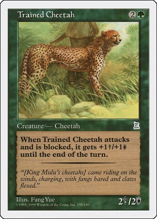 Trained Cheetah Card Front