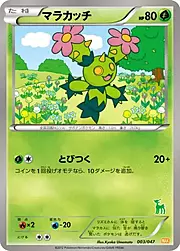 Maractus