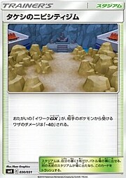 Brock's Pewter City Gym