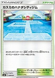 Misty's Cerulean City Gym