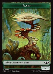 Plant // Insect