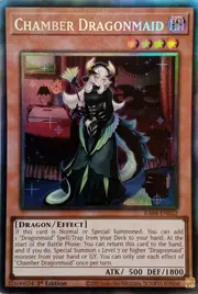 Chamber Dragonmaid