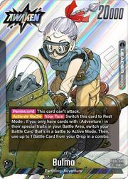 Bulma // Bulma