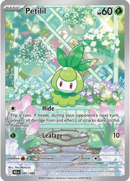 Petilil Card Front