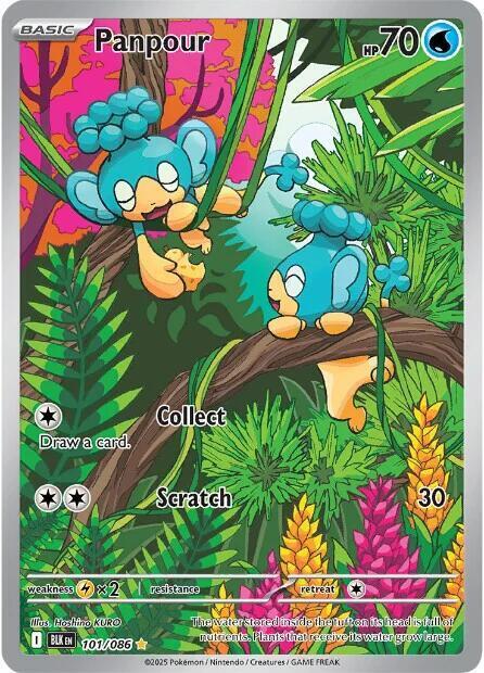 Panpour Card Front