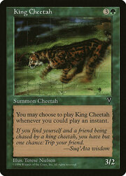 King Cheetah